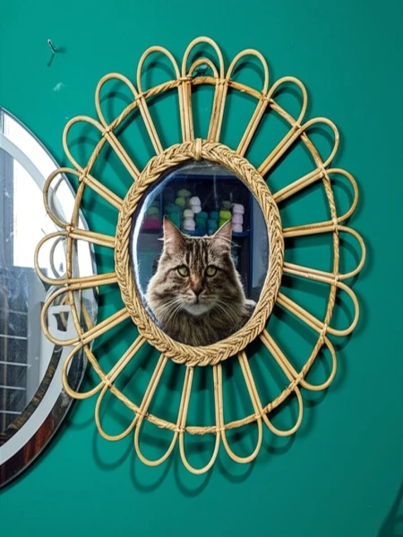 Rattan frame Mirror